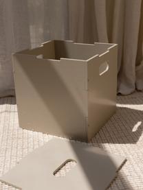 Caja de madera Cube, Madera de abedul pintada

Este producto está hecho de madera de origen sostenible y con certificación FSC®., Beige claro, An 36 x F 36 cm