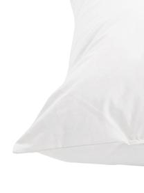 Garnissage de coussin garnissage duvet/plumes Premium, 40 x 60, Blanc