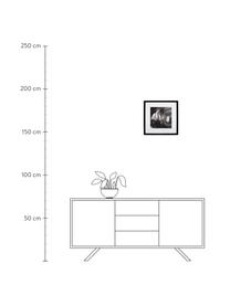 Ingelijste digitale print Connery, Lijst: kunststof, Sean Connery, B 40 x H 40 cm