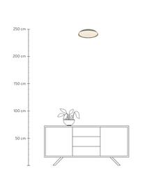 LED-Deckenleuchte Piso in Grau, Lampenschirm: Metall, beschichtet, Grau, Ø 37 x H 5 cm