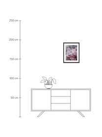 Stampa digitale incorniciata Pink Flower, Immagine: stampa digitale su carta,, Cornice: legno, verniciato, Multicolore, Larg. 43 x Alt. 53 cm