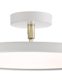 LED-Deckenleuchte Alba in Weiß, Lampenschirm: Aluminium, Weiß, Ø 40 x H 12 cm