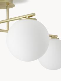 Lampada da soffitto in vetro opale Atlanta, Struttura: metallo ottonato, Baldacchino: metallo ottonato, Bianco, dorato, Larg. 65 x Alt. 30 cm