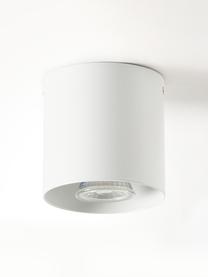 Faretto da soffitto Roda, Metallo verniciato a polvere, Bianco, Ø 10 x Alt.10 cm