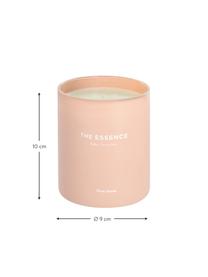 Candela profumata The Essence, Contenitore: vetro, Rosa, bianco, Ø 9 x Alt. 10 cm