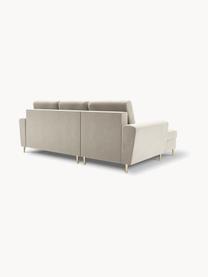 Fluwelen hoekbank Moghan (3-zits) met slaapfunctie en opbergruimte, Bekleding: 100% polyester fluweel He, Frame: massief grenenhout, spaan, Fluweel lichtbeige, B 241 x D 145 cm, hoekdeel rechts