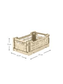 Malý skládací box Boulder, Umělá hmota, Béžová, Š 27 cm, V 11 cm