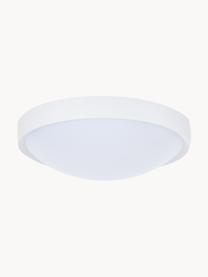 Plafón pequeño LED Altus, Pantalla: plástico, Blanco, Ø 30 x Al 9 cm