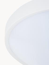 Plafón pequeño LED Altus, Pantalla: plástico, Blanco, Ø 30 x Al 9 cm