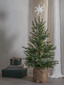 Estrella cima árbol de Navidad Star Isa, 33 cm, Papel, metal, Off White, An 21 x Al 33 cm