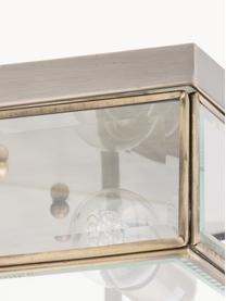 Plafón pequeño Ben, Estructura: metal recubierto, Pantalla: vidrio, Dorado, transparente, An 26 x Al 10 cm