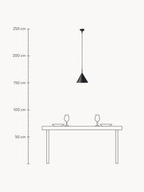 Malé závěsné svítidlo Coby, Černá, Ø 22 cm, V 25 cm