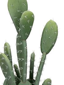 Cactus artificial con maceta Love, Verde, terracota, Ø 13 x Al 46 cm