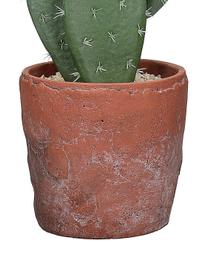 Terracotta kunstcactus Love in een plantenbak, Groen, terracotta, Ø 13 x H 46 cm