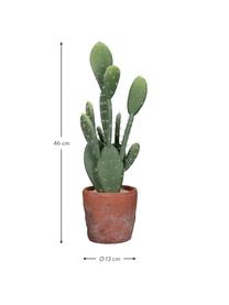 Cactus artificiel en cache-pot Terracotta, Vert, terracotta, Ø 13 x haut. 46 cm