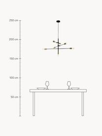 Lampa wisząca Venja, Czarny, odcienie mosiądzu, Ø 84 x W 195 cm