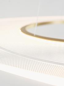 Lámpara de techo grande LED Eclipse, Anclaje: metal con pintura en polv, Cable: plástico, Transparente, dorado, Ø 97 cm