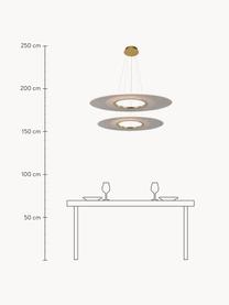 Lámpara de techo grande LED Eclipse, Anclaje: metal con pintura en polv, Cable: plástico, Transparente, dorado, Ø 97 cm