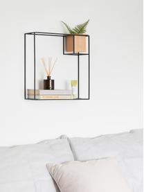 Wand-Regal Cubist mit Behälter, Behälter: Eschenholz mit Kunststoff, Schwarz, Hellbraun, B 38 x H 38 cm