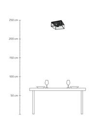 Deckenleuchte Aberdeen im Industrial-Style, Lampenschirm: Glas, Schwarz, Transparent, B 36 x H 16 cm