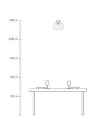 Deckenleuchte Spring aus Glas, Baldachin: Messing, lackiert, Lampenschirm: Glas, Goldfarben, Transparent, Ø 36 x H 27 cm