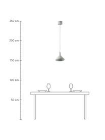 Suspension LED Alva, Gris clair, Ø 24 x haut. 150 cm