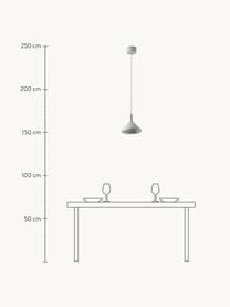 LED-Pendelleuchte Alva, Hellgrau, Ø 24 x H 21 cm