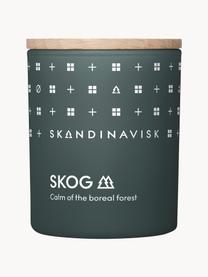 Vonná sviečka Skog (ihličie, šišky, brezová šťava), Ihličie, jedľové šišky, brezová miazga, Ø 6 x V 8 cm