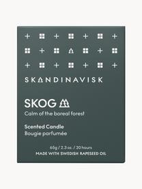 Geurkaars Skog (dennennaalden, dennenappels, berkensap), Houder: glas, Deksel: berkenhout, Doos: karton, Dennennaalden, dennenappels, berkensap, Ø 6 x H 8 cm