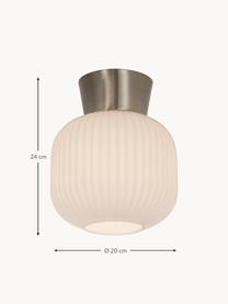 Malá stropná lampa Vanja, Biela, strieborná, Ø 20 x V 24 cm
