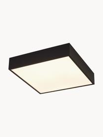 Malá stropná LED lampa do kúpeľne Zeus, Čierna, Š 30 x V 6 cm