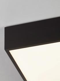 Kleine LED badkamer plafondlamp Zeus, Diffuser: kunststof, Zwart, B 30 x H 6 cm