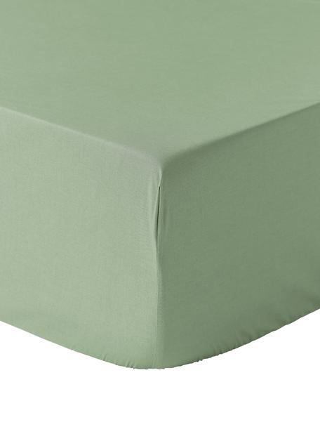 Spannbettlaken Elsie, Baumwollperkal, Webart: Perkal, Salbeigrün, B 90 x L 200 cm, H 25 cm