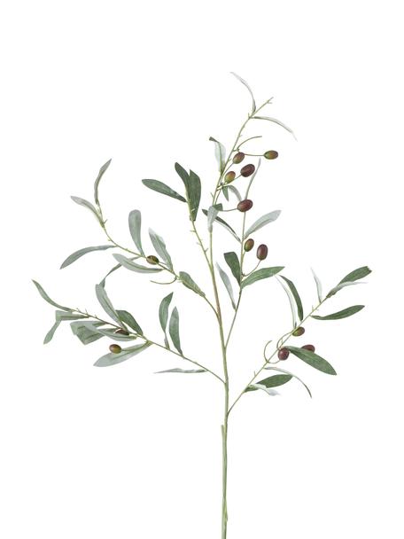 Ručně vyrobený umělý olivovník Olives Garden, Umělá hmota, Zelená, Š 17 cm, V 77 cm