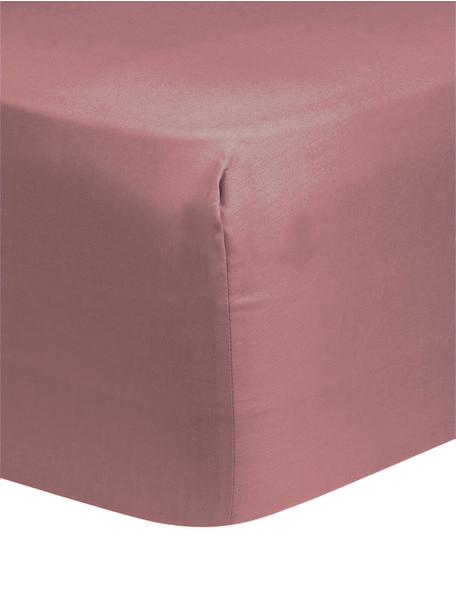 Lenzuolo con angoli in raso di cotone color malva Comfort, Malva, Larg. 90 x Lung. 200 cm