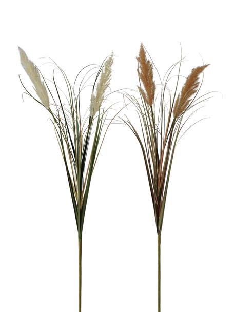 Kunstblumen-Set Pampasgras, 2-tlg., Kunststoff, Beigetöne, Brauntöne, Grün, B 25 x H 100 cm