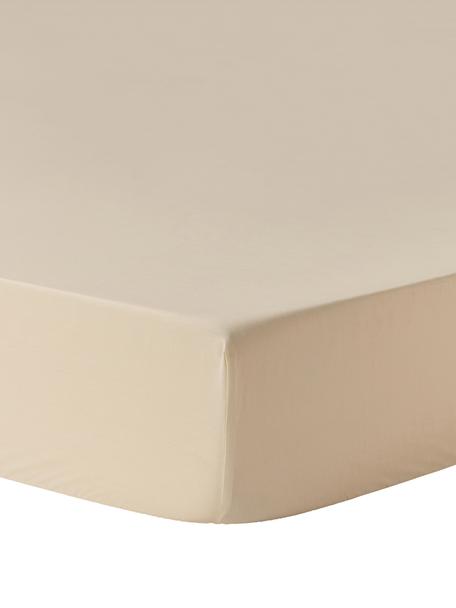Topper-Spannbettlaken Elsie, Baumwollperkal, Webart: Perkal, Beige, B 90 x L 200 cm, H 15 cm