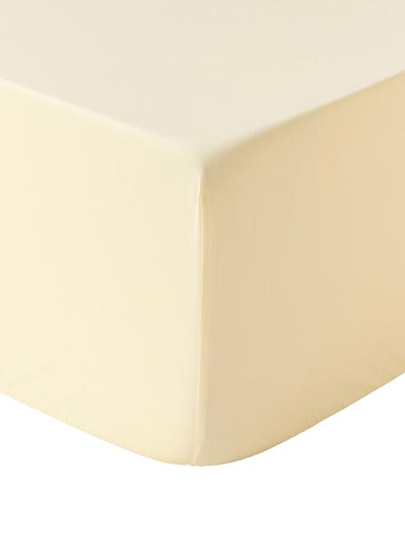 Lenzuolo con angoli boxspring in cotone percalle Elsie, Giallo, Larg. 90 x Lung. 200 cm, Alt. 35 cm
