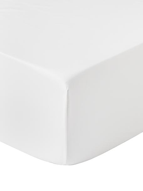Topper-lenzuolo con angoli in raso di cotone Premium, Bianco, Larg. 90 x Lung. 200 cm, Alt. 15 cm
