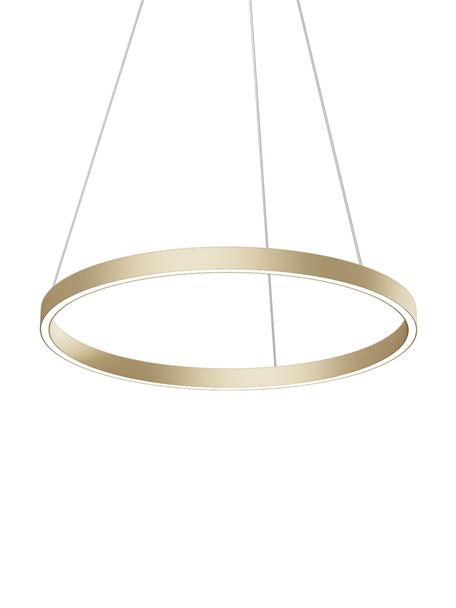 Große LED-Pendelleuchte Rim, Lampenschirm: Aluminium, Baldachin: Aluminium, Goldfarben, Ø 60 x H 40 cm