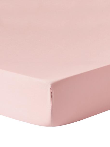 Hoeslaken Comfort, katoensatijn, Weeftechniek: satijn Draaddichtheid 250, Roze, B 90 x L 200 cm, H 15 cm