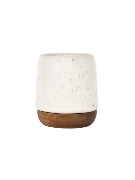 Kubek XS z podstawką z drewna akacjowego Nordika, 2 szt., Beżowy, drewno akacjowe, Ø 6 x W 8 cm, 100 ml