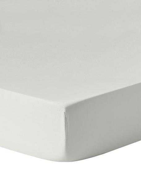Lenzuolo con angoli topper in raso di cotone Comfort, Grigio, Larg. 90 x Lung. 200 cm