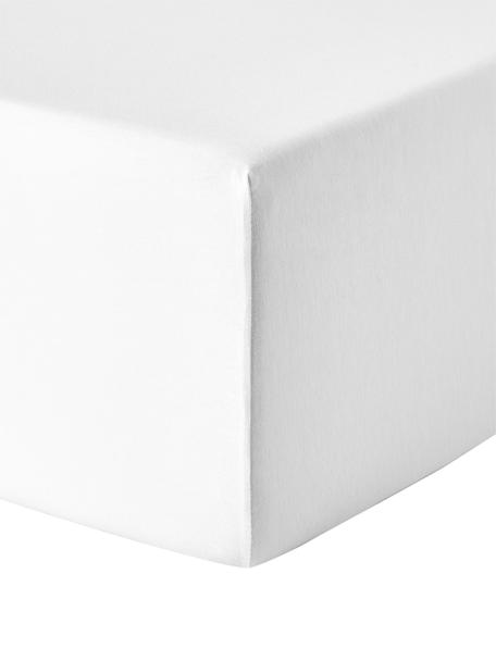 Sábana bajera de jersey con elastano Lara, 95% algodón, 5% elastano
Densidad de hilo 160 TC, calidad estándar

El algodón da una sensación agradable y suave en la piel, absorbe bien la humedad y es adecuado para personas alérgicas., Blanco, Cama 200 cm (200 x 200 x 35 cm)