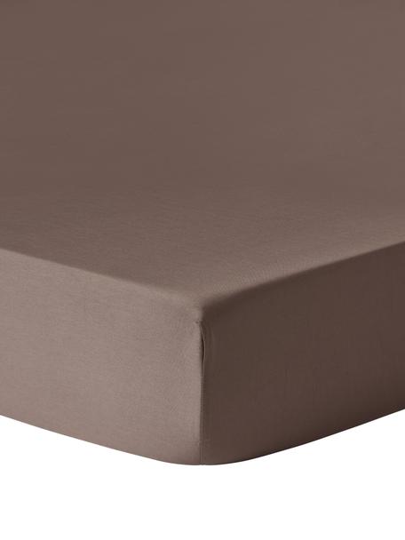 Lenzuolo con angoli topper in raso di cotone Comfort, Marrone, Larg. 90 x Lung. 200 cm