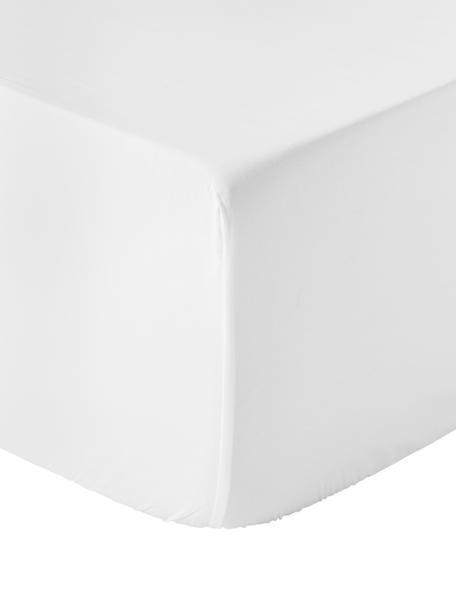 Boxspring-Spannbettlaken Elsie, Baumwollperkal, Webart: Perkal, Weiß, B 90 x L 200 cm, H 35 cm
