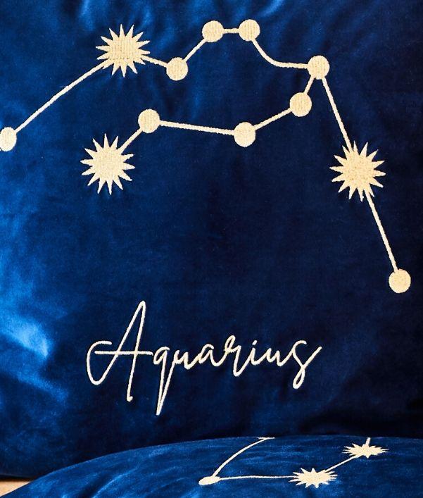 segno-acquario-mobili-decorazioni
