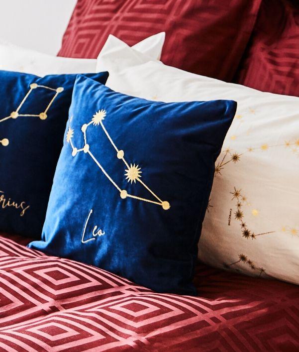 Leo: ideas de decoración