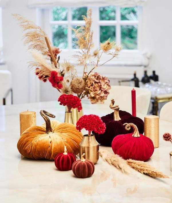 citrouilles-halloween-velours-rouge-orange