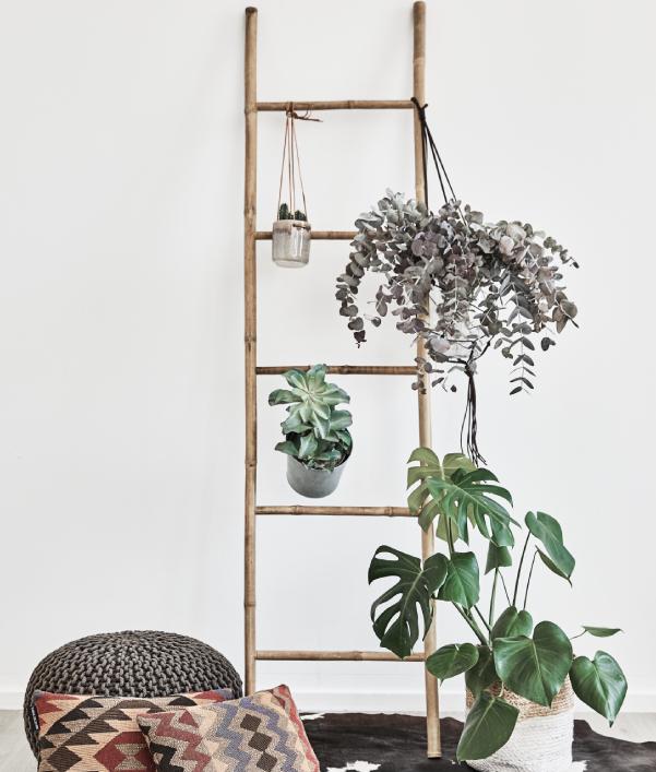 Urban Jungle Einrichtung Interior Trend